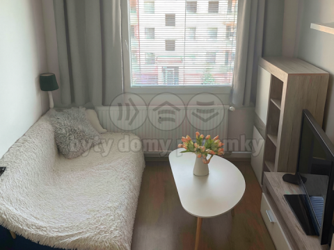 Pronájem bytu 1+kk, Plzeň, Krašovská, 30 m2