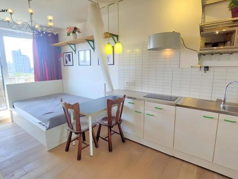Pronájem bytu 1+kk, Praha - Vysočany, Pod Harfou, 30 m2