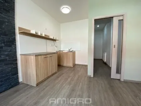 Pronájem bytu 1+kk, Brno, Životského, 24 m2