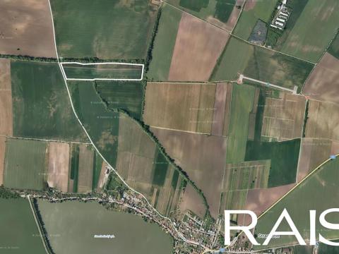 Prodej sadu/vinice, Pouzdřany, 72617 m2