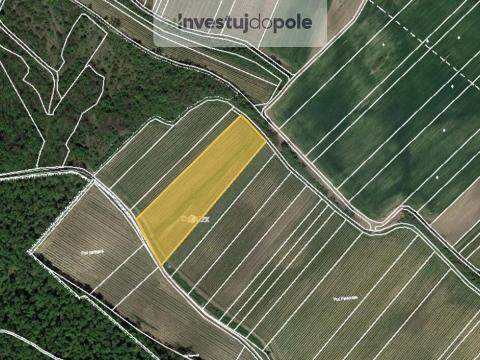 Prodej pole, Dolní Věstonice, 1767 m2
