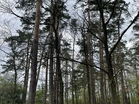 Prodej pozemku, Hradiště, 9237 m2