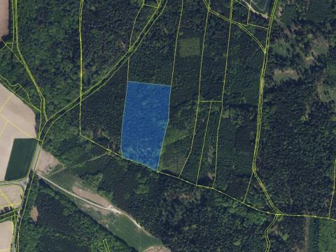 Prodej podílu lesa, Přepychy, 6506 m2