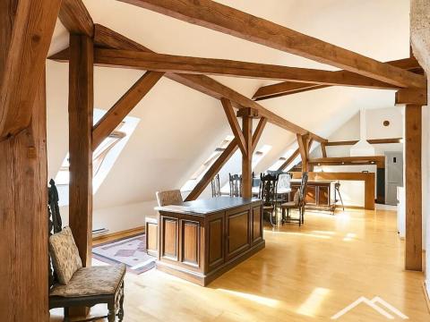 Pronájem bytu 4+kk, Praha - Holešovice, Dukelských hrdinů, 176 m2