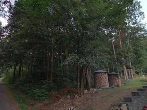 Prodej podílu lesa, Velké Hamry, 2705 m2