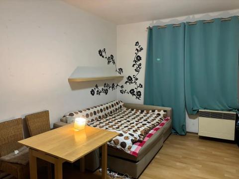Pronájem bytu 1+kk, Praha, Na dolinách, 30 m2