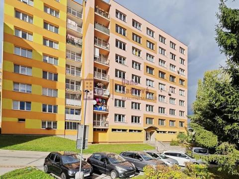 Pronájem bytu 1+1, Jindřichův Hradec, sídliště Vajgar, 42 m2