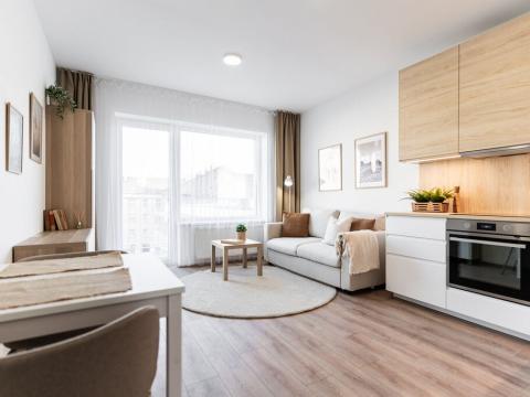 Pronájem bytu 1+kk, Brno - Brno-město, Spolková, 27 m2