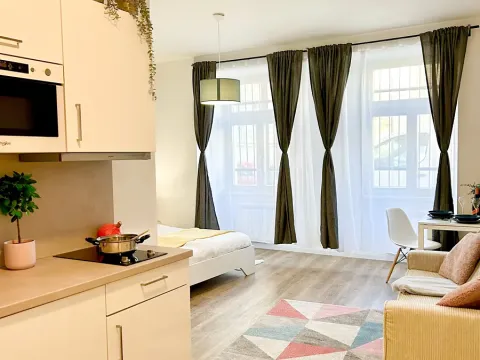 Pronájem bytu 1+kk, Praha - Nové Město, Petrská, 31 m2