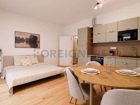 Pronájem bytu 1+kk, Brno, Bratislavská, 34 m2