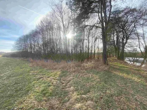 Dražba pozemku, Trstěnice, 1109 m2