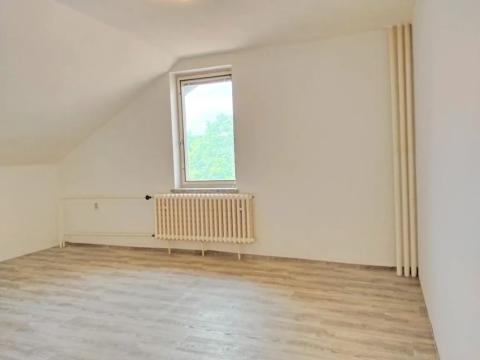 Pronájem bytu 2+kk, Kozojedy, 46 m2