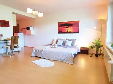 Prodej bytu 1+kk, Brno, Šemberova, 48 m2