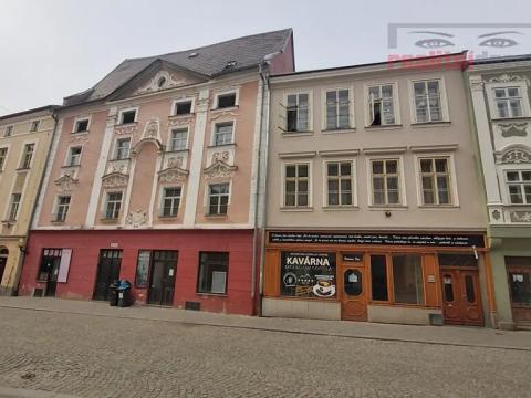 Prodej obchodního prostoru, Jihlava, Palackého, 490 m2