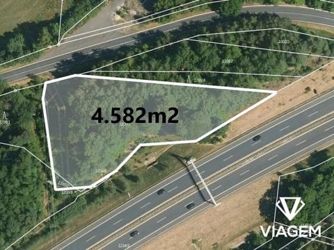 Prodej lesa, Nové Sedlo, 4582 m2