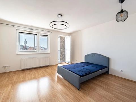 Pronájem bytu 1+kk, Praha - Michle, V dolině, 40 m2