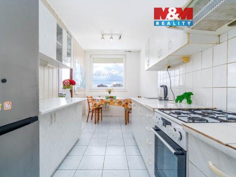 Prodej bytu 4+1, Brandýs nad Labem-Stará Boleslav - Brandýs nad Labem, Na vinici, 84 m2