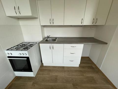 Pronájem bytu 1+1, Litvínov, Bezručova, 45 m2