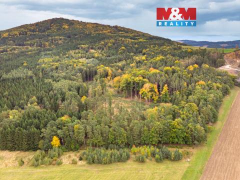Prodej lesa, Ježovy - Trnčí, 39171 m2