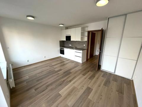 Pronájem bytu 1+kk, Brno, Spolková, 29 m2