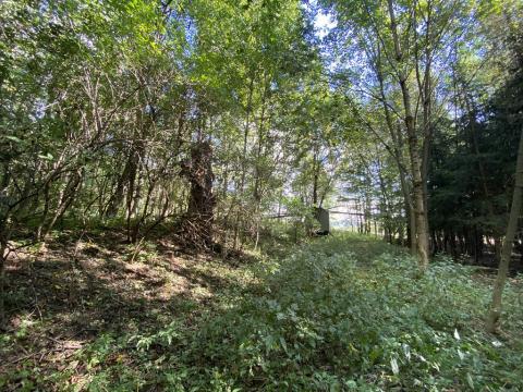 Prodej pozemku, Lánov - Horní Lánov, 1080 m2