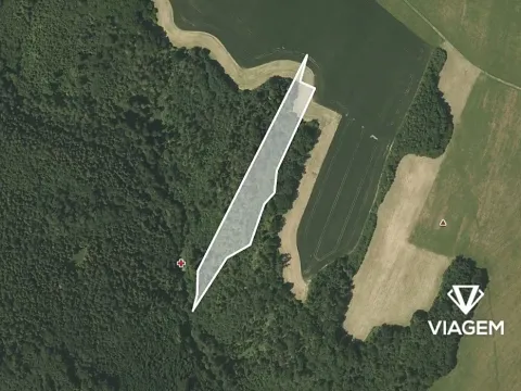 Prodej lesa, Fulnek, 9491 m2