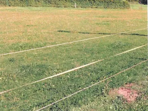 Prodej pozemku, Sedliště, 338 m2