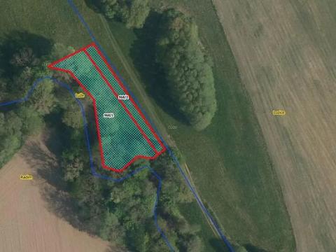 Prodej pozemku, Luže, 1586 m2