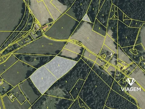 Prodej podílu lesa, Cotkytle, 1746 m2