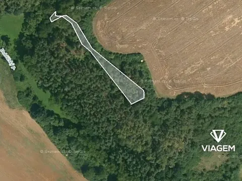 Prodej lesa, Kaceřov, 1208 m2