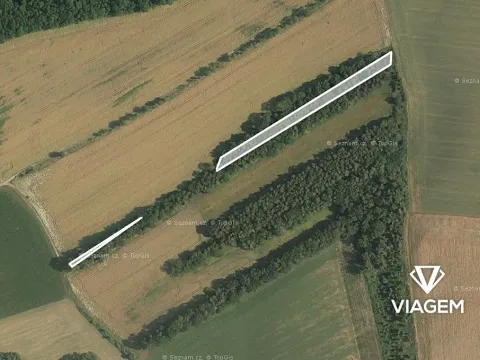 Prodej podílu lesa, Vlčnov, 1782 m2