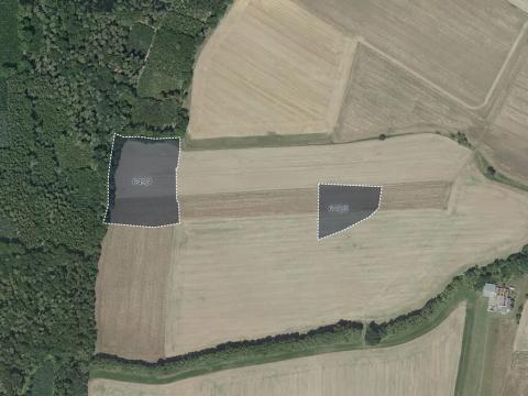 Prodej pole, Masojedy, 21338 m2