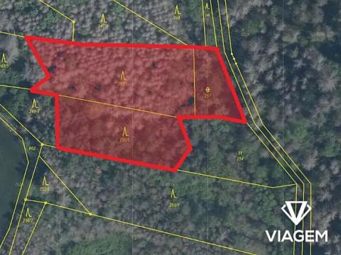 Prodej lesa, Slavičky, 3650 m2