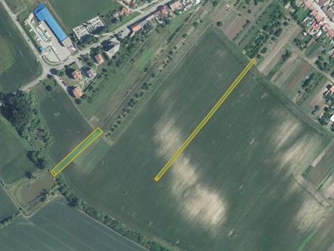 Prodej pole, Starý Poddvorov, 9028 m2