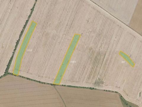 Prodej podílu pole, Hlavenec, 21948 m2