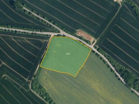 Prodej pole, Mohelnice nad Jizerou, 21252 m2