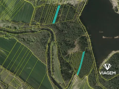 Prodej podílu lesa, Drahov, 3880 m2