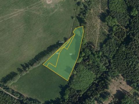 Prodej louky, Načešice, 5784 m2