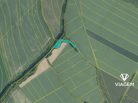 Prodej lesa, Jeseník nad Odrou, 3794 m2