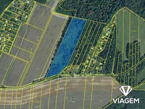 Prodej podílu lesa, Prostějov, 3013 m2