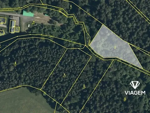 Prodej podílu lesa, Těchonín, 451 m2