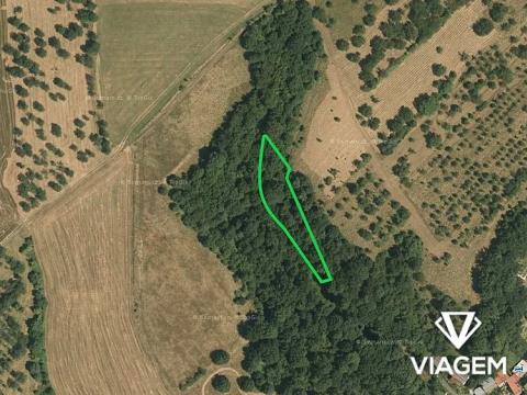 Prodej podílu pole, Veselíčko, 510 m2