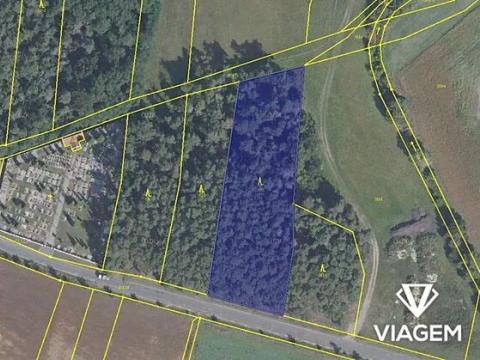 Prodej podílu lesa, Sokoleč, 884 m2