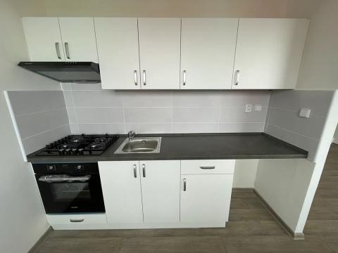 Pronájem bytu 1+1, Most, Václava Talicha, 43 m2