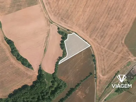 Prodej podílu pole, Bojanovice, 1806 m2