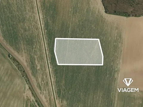 Prodej pole, Vinařice, 12754 m2