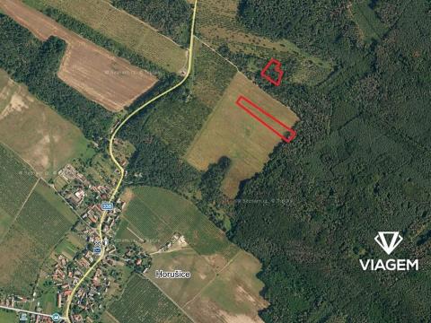 Prodej podílu pole, Horušice, 1624 m2