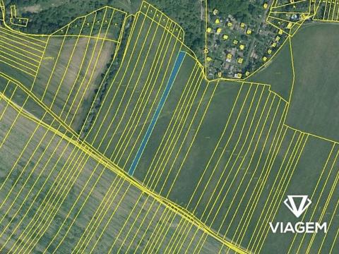 Prodej podílu pole, Brno, 407 m2