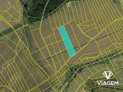 Prodej podílu pole, Vysočany, 1946 m2