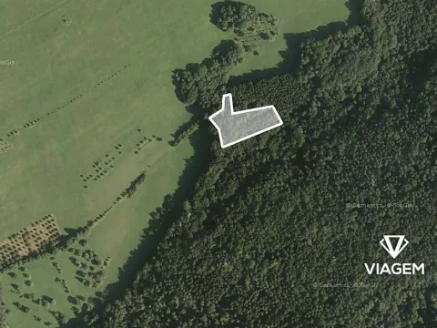 Prodej podílu lesa, Luhačovice, 1729 m2